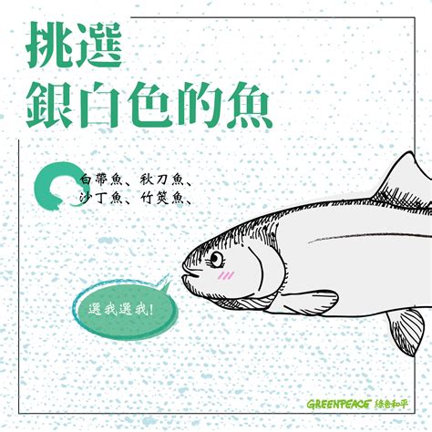 魚 吉祥話|【動物 x 哲學】以魚傳情的密語：從生殖崇拜到吉祥寓意